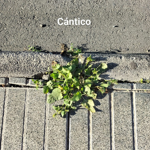 Cántico
