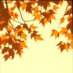 อยู่ให้เธอไม่เห็น