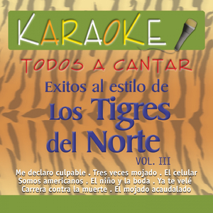 El Niño y la Boda (Karaoke Version) (Originally Performed By los Tigres del Norte)
