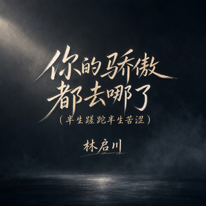 你的骄傲都去哪了(半生蹉跎半生苦涩)