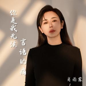 你是我无法言语的痛