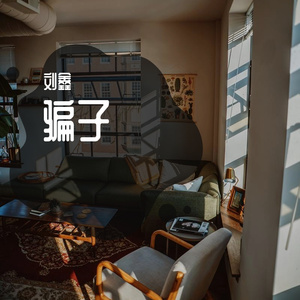 文夫-骗子（刘鑫 remix）