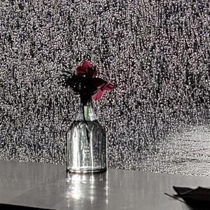 Hanging on to dear life