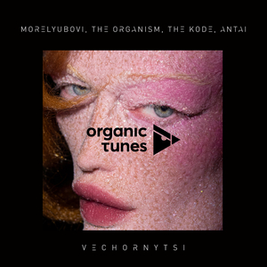 Vechornytsi (Radio Edit)
