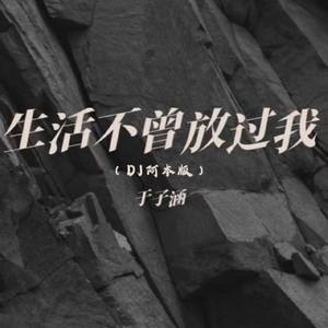 生活不曾放过我(DJ版)
