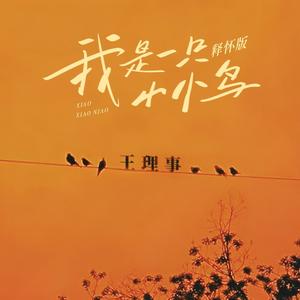 我是一只小小鸟 (释怀版)