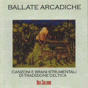 The Irish Washerwoman