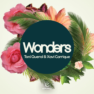 Wonders (Original Mix)