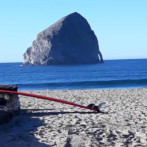 Let's Go to the Beach