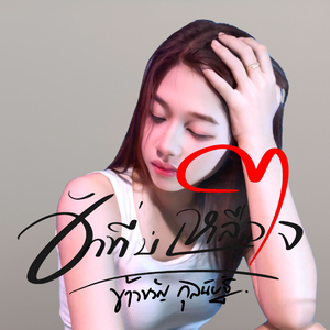 ฮักที่บ่เหลือใจ hook