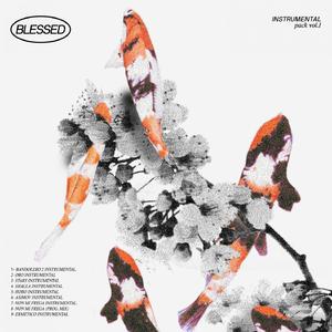 Shalla (Instrumental)