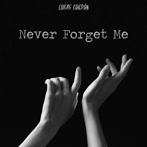 Never Forget Me