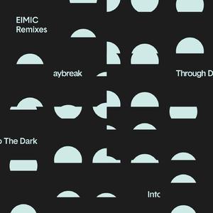 Into the Dark (Noissure Remix)