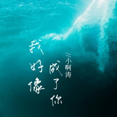 我好像成了你