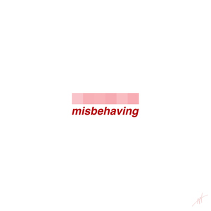 Misbehaving