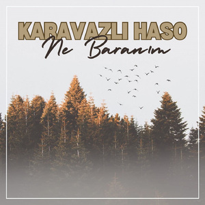 Ne Baranım (Karavazlı Haso)