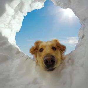 独自收集两个人之间的回忆