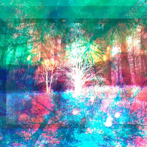 Оранжевый Закат