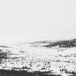 Loose (Lambert Rework)