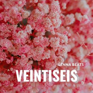 Veintiseis