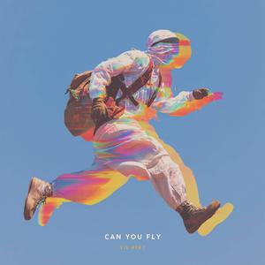 Can You Fly