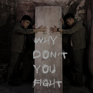Why don't you fight
