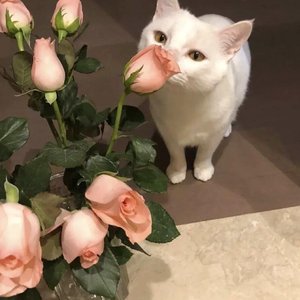 最好的我给最好的你