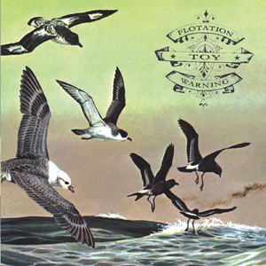 Losing Carolina; for Drusky