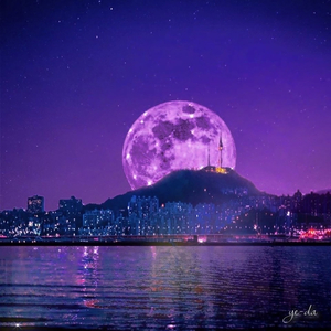 같은 밤하늘 (Feat. 윤다영)