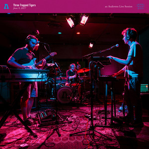 13 (Audiotree Live Version)