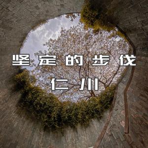 沈园外（DJ版）（仁川 remix）