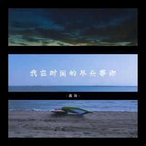 我在时间的尽头等你