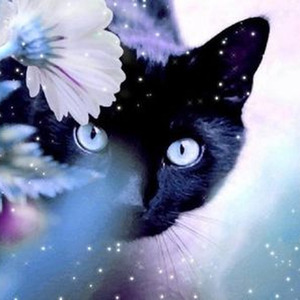 Balmain Jeans (slowed)