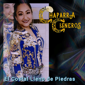 El Costal Lleno De Piedras