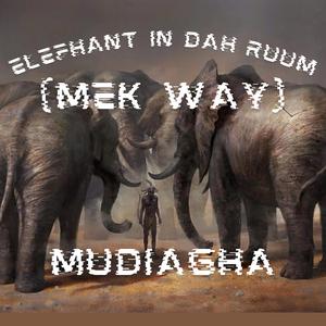 ELEFHANT IN DAH RUUM