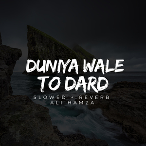 Duniya Wale To Dard Lofi