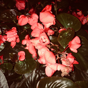 武装押韵-Bad Boy Remix (Eva/武装押运 Remix）（Robin Yan / 武装押韵 remix）