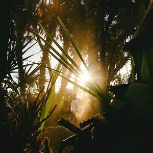 人最柔软的地方