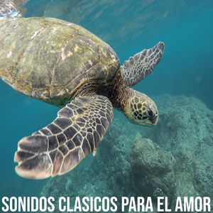 Celos divinos