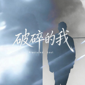 破碎的我