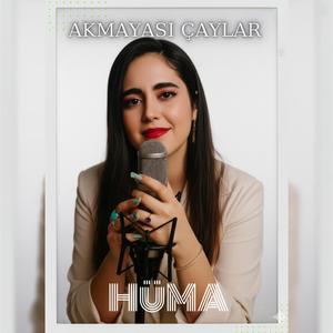 Akmayası Çaylar