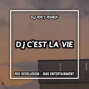 DJ C'EST LA VIE KHALED MENGKANE VIRAL TIKTOK