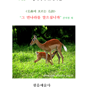 고원의 시(시인: 김종환)