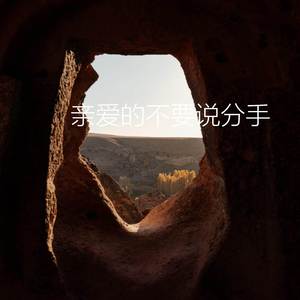 亲爱的不要说分手