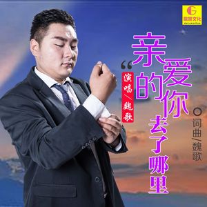 亲爱的你去了哪里 (DJ小魏版伴奏)