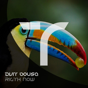 Rigth Now (Original Mix)