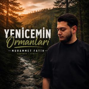 Yenicemin Ormanları