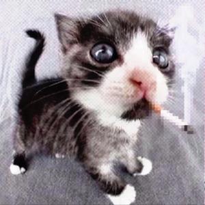 героиновые слезы