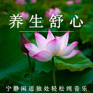 养生舒心（轻音乐）