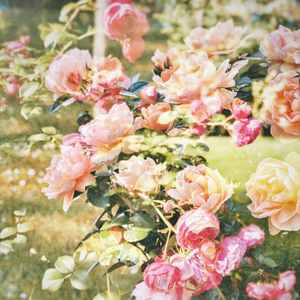 말없이 지낸 순간들